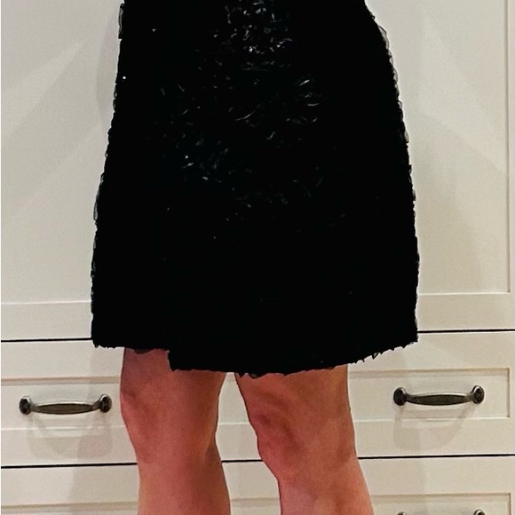 Black Sheer Sleeveless Dress - Picture 4 of 8